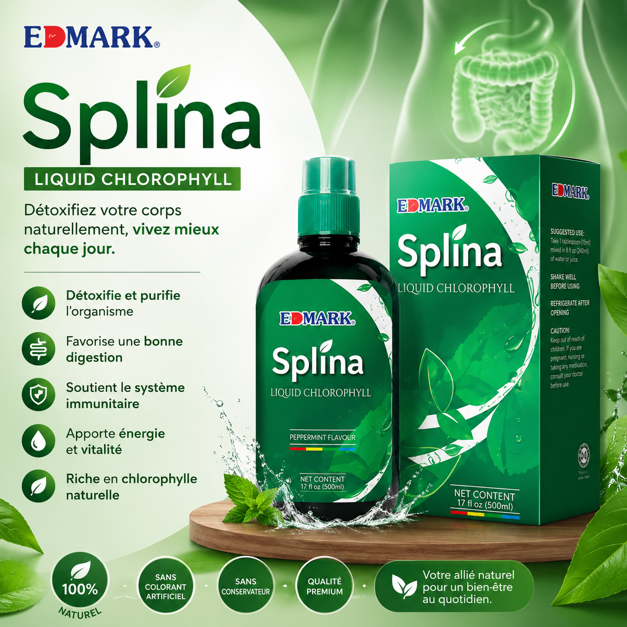 Splina